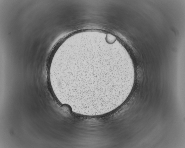 X0000112511408200909280945