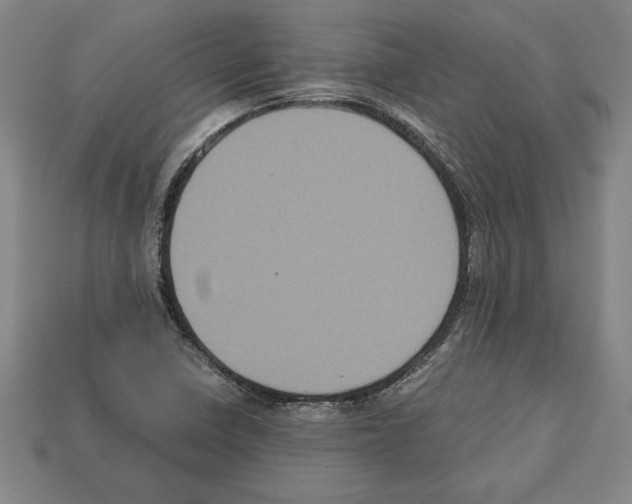 X0000112511410200909280945