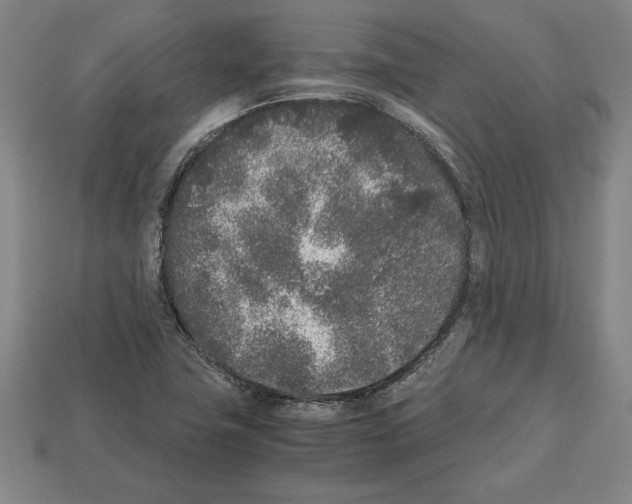 X0000112511411200909280945