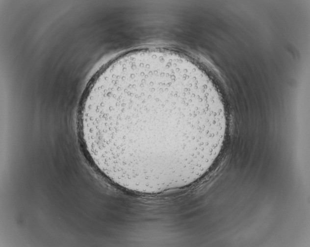 X0000112511412200909280945