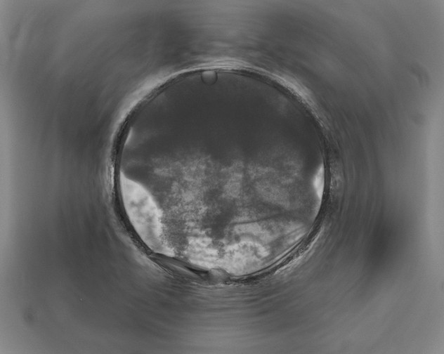 X0000112511414200909280945