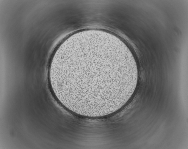 X0000112511416200909280945