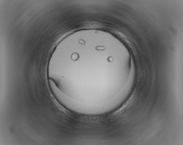 X0000112511417200909280945