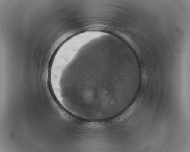 X0000112511418200909280945