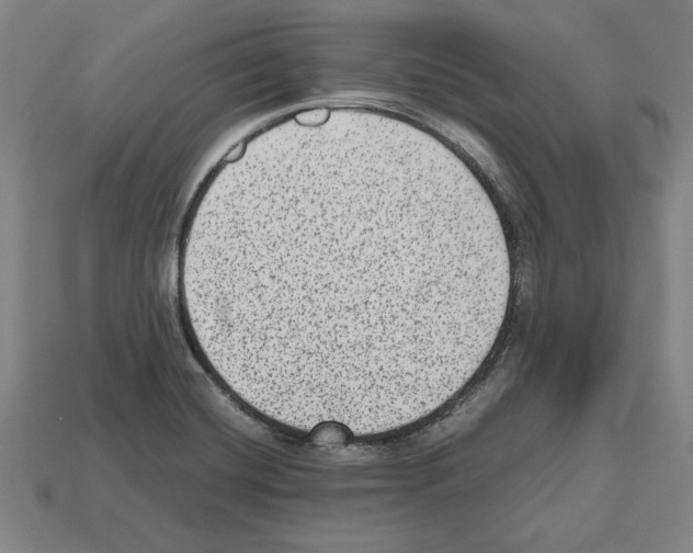 X0000112511420200909280945