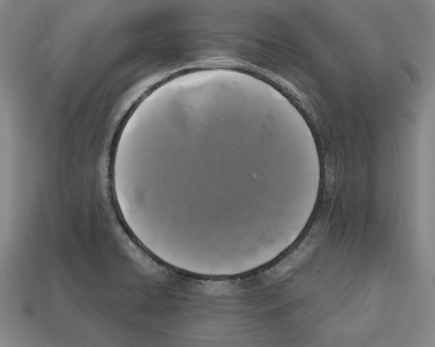 X0000112511422200909280945