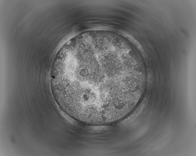 X0000112511425200909280946