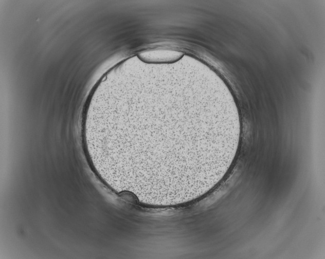 X0000112511426200909280946