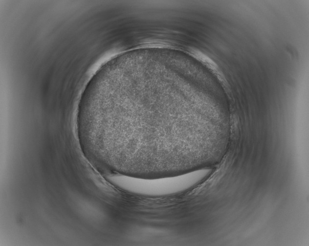 X0000112511427200909280946