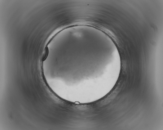 X0000112511428200909280946