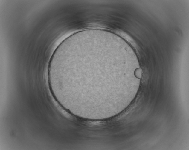 X0000112511431200909280946