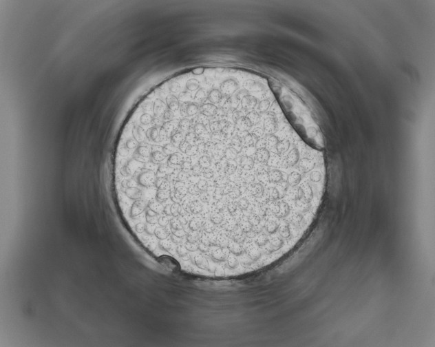 X0000112511432200909280946