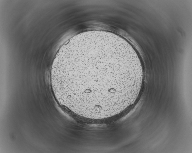 X0000112511433200909280946