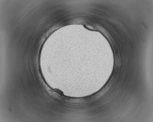 X0000112511434200909280946