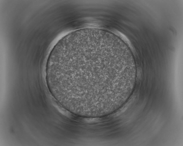 X0000112511435200909280946