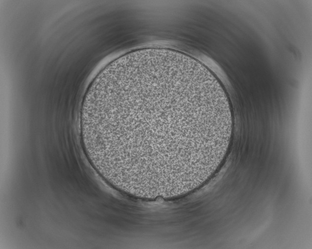 X0000112511436200909280946