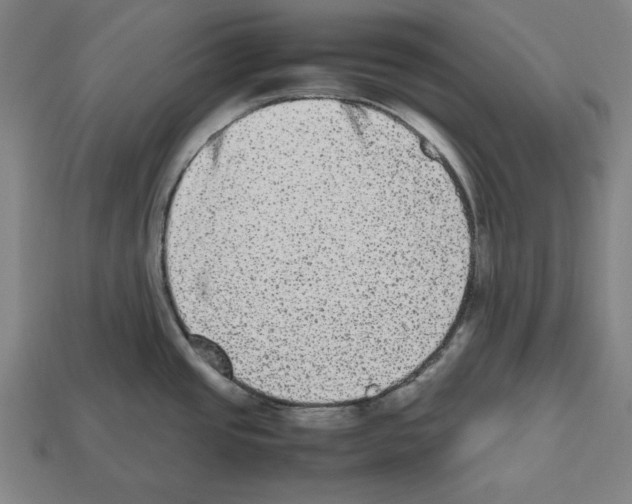 X0000112511437200909280946