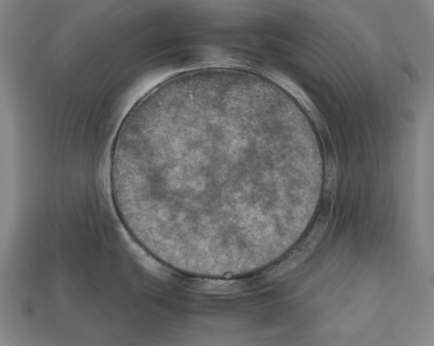 X0000112511439200909280946