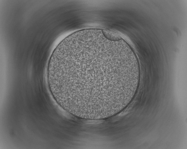 X0000112511440200909280946