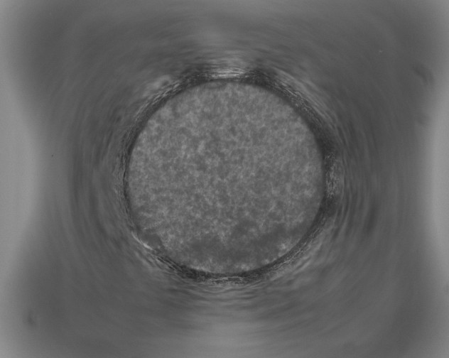 X0000112511441200909280945