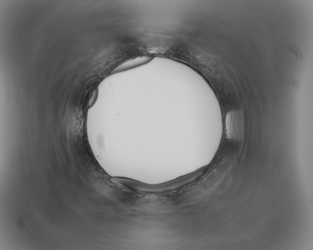 X0000112511443200909280945