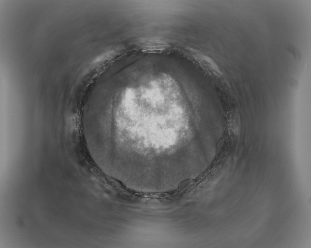 X0000112511445200909280945