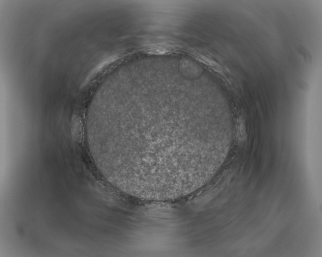 X0000112511446200909280945