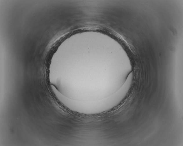 X0000112511448200909280945