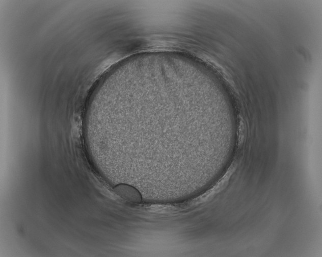 X0000112511449200909280945