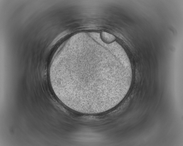 X0000112511450200909280945