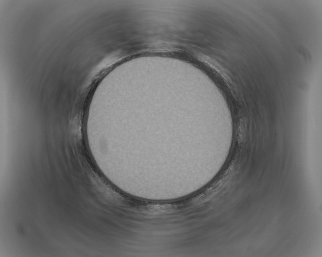 X0000112511451200909280945