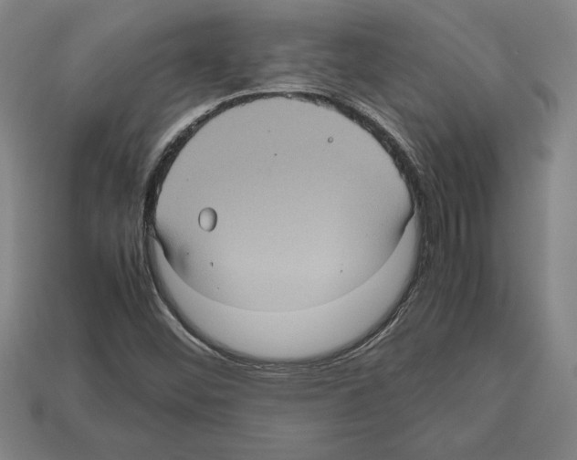 X0000112511452200909280945