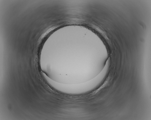 X0000112511453200909280945