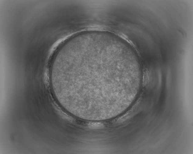 X0000112511454200909280945