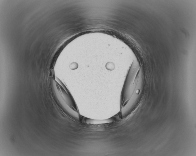 X0000112511457200909280945