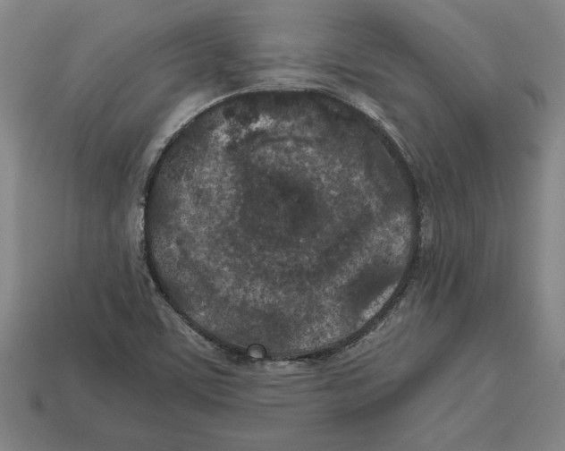 X0000112511459200909280945