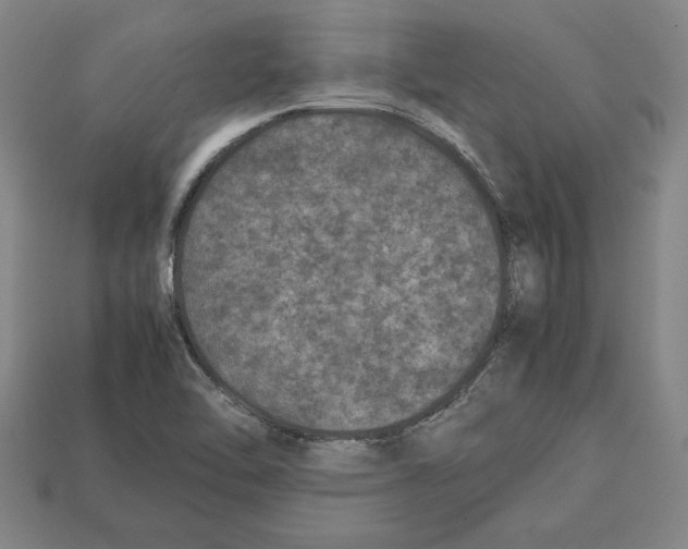 X0000112511462200909280945