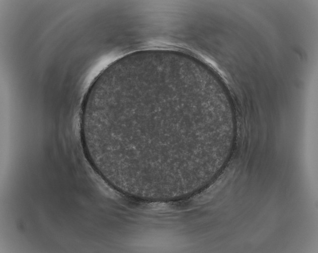 X0000112511463200909280945