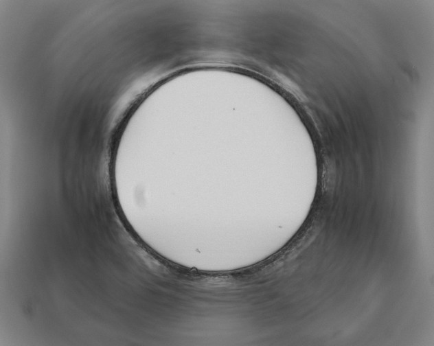 X0000112511464200909280945