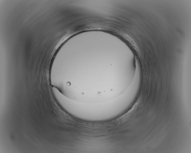 X0000112511465200909280945