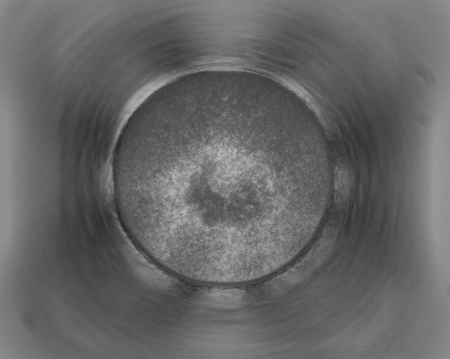 X0000112511466200909280945