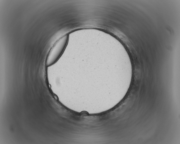 X0000112511469200909280945