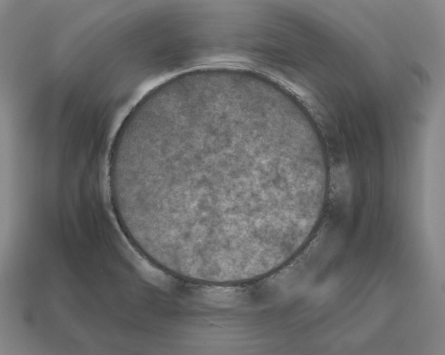 X0000112511470200909280945