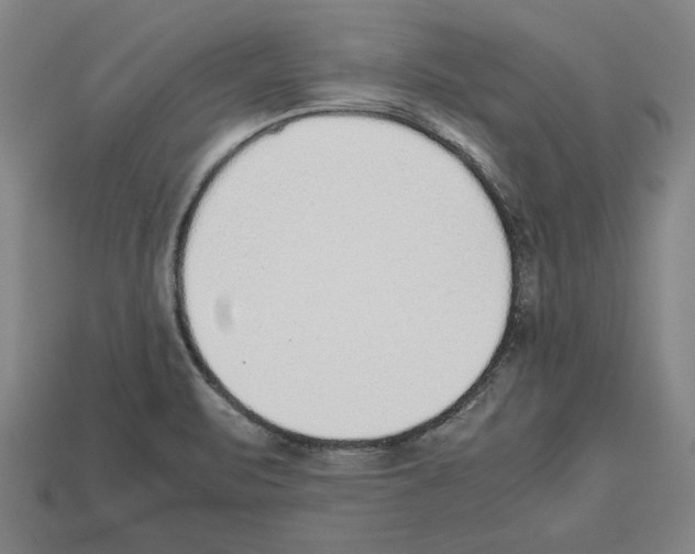 X0000112511471200909280945