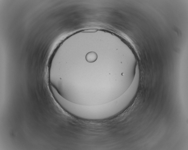 X0000112511472200909280945