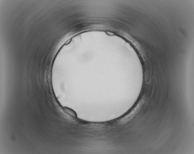 X0000112511473200909280945