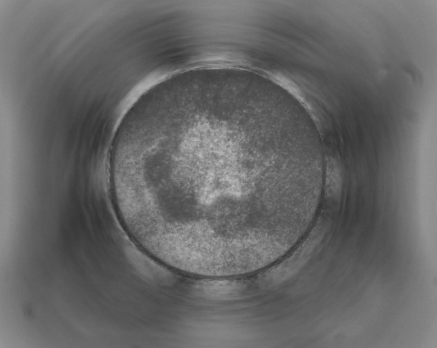 X0000112511474200909280945