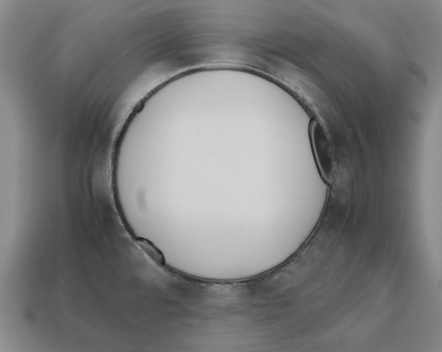 X0000112511480200909280945