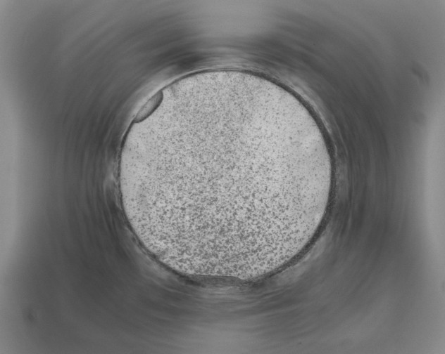 X0000112511481200909280945