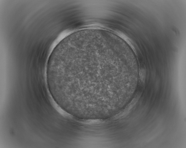 X0000112511482200909280945